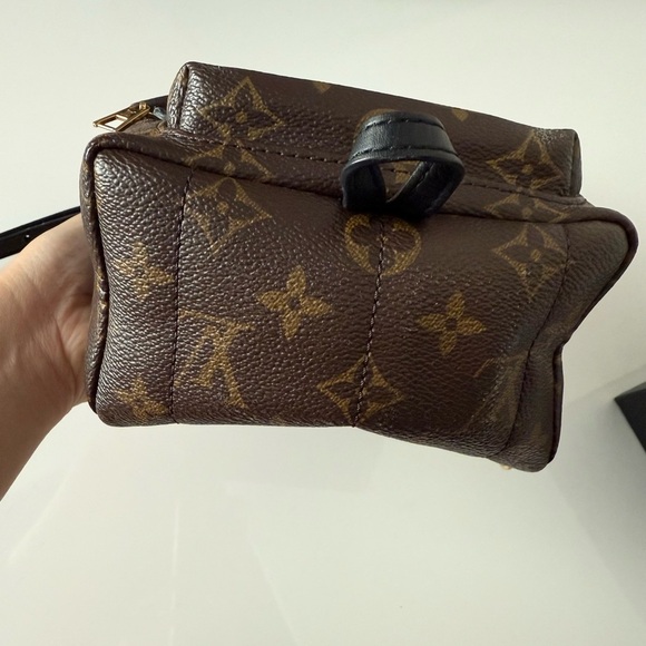 LOUIS VUITTON: PALM SPRINGS MINI (AUTHENTIC) - Picture 5 of 14